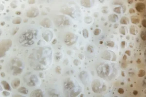 pão de fermentação natural benefícios