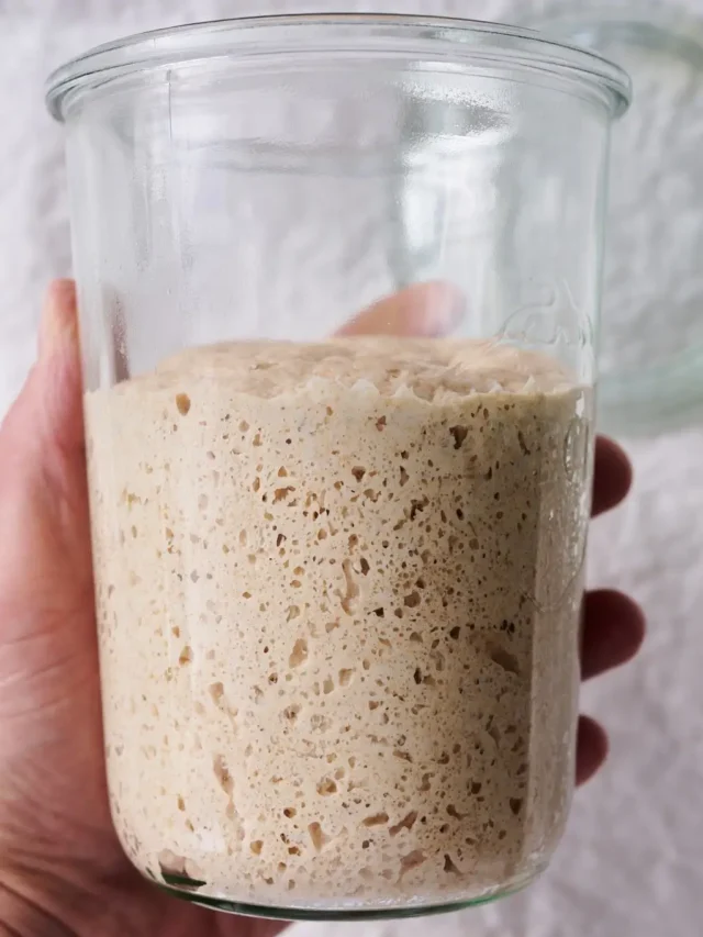 7 Passos Simples para Criar Fermento Natural do Zero
